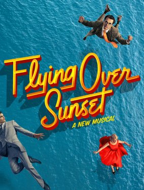 Flying Over Sunset